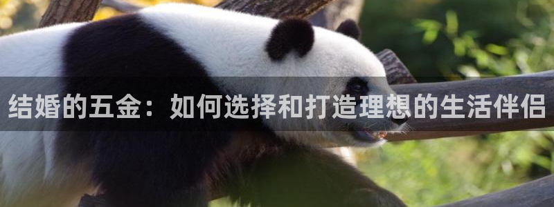 恒行2许74OOO5