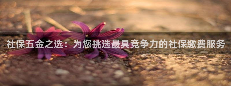 恒在5行中代表什么数字