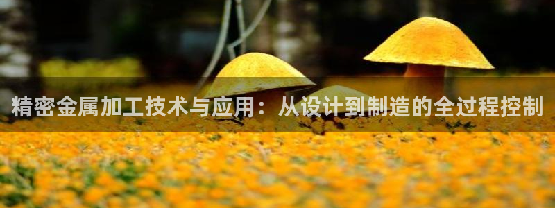 恒行2杨74OOO5