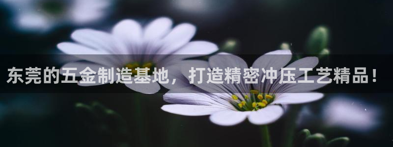 恒行招商老大诚挚 6ll5l
