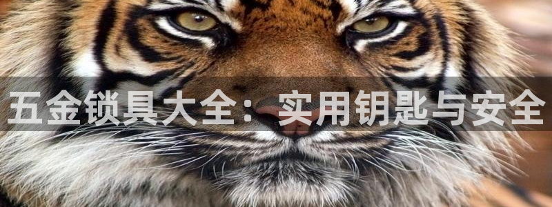 恒行娱乐周74OOO5