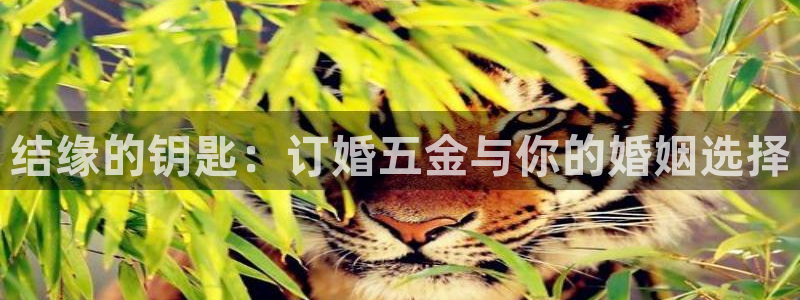 恒行娱乐鸟74ooo5判官