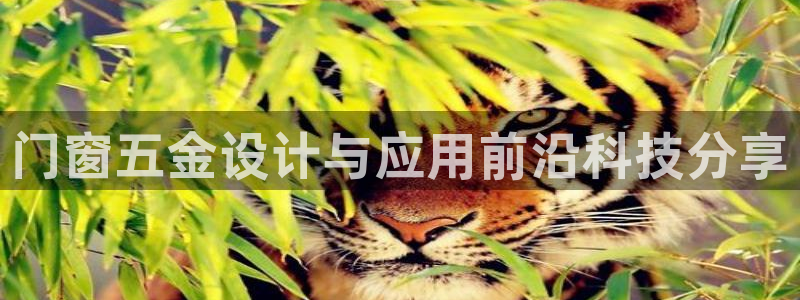恒行娱乐陈74OOO5