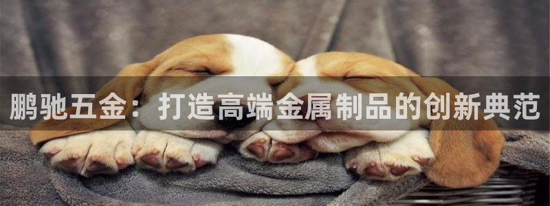恒行娱乐鸟74ooo5判官