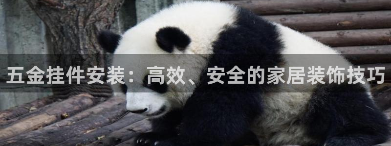 恒行娱乐河沂74ooo5程