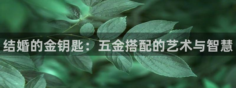 恒行开户全2O5o5O