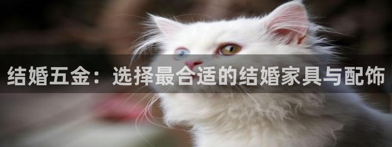 恒行娱乐郑74OOO5