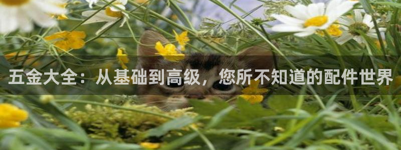 恒行主管招收 6ll5l出奇