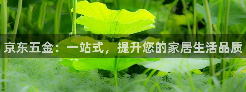 恒行娱乐5ll533主管正直