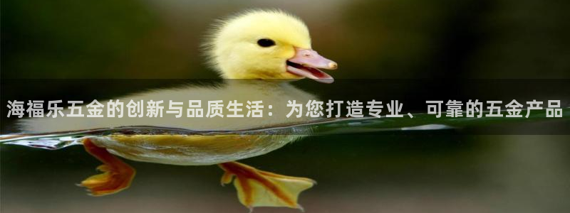 恒行娱乐5ll533主管正直