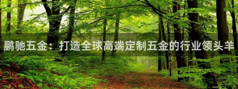 恒行娱乐河沂74ooo5程