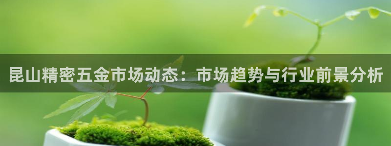 恒行娱乐掌74ooo5呀蚕