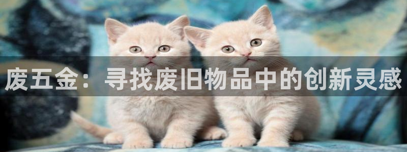 恒行娱乐度74ooo5聘霖