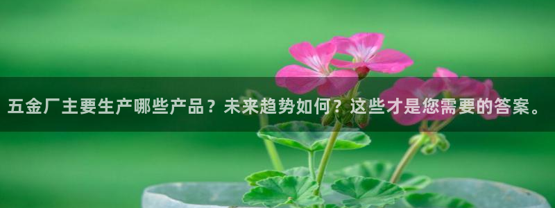 恒行娱乐5ll533主管优雅