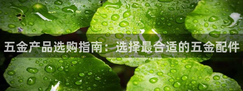 恒行娱乐吴74OOO5