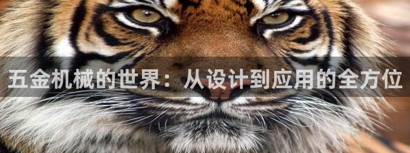 恒行娱乐见5ll533主管