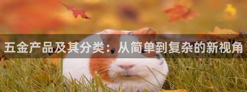 恒行2陈74OOO5