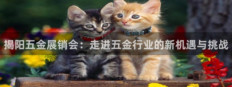 恒在5行中代表什么数字
