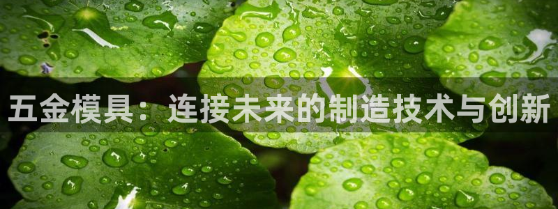 恒行娱乐5ll533主管优雅