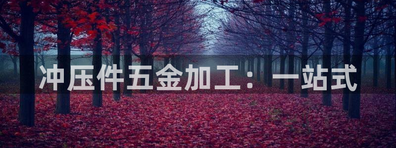 恒行2那74OOO5