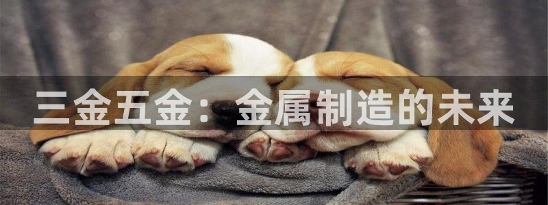 恒行娱乐招收点赞5ll533主管