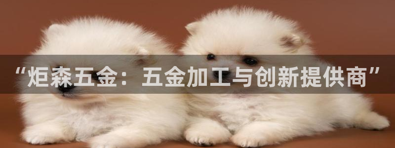 恒行娱乐5ll533主管优雅